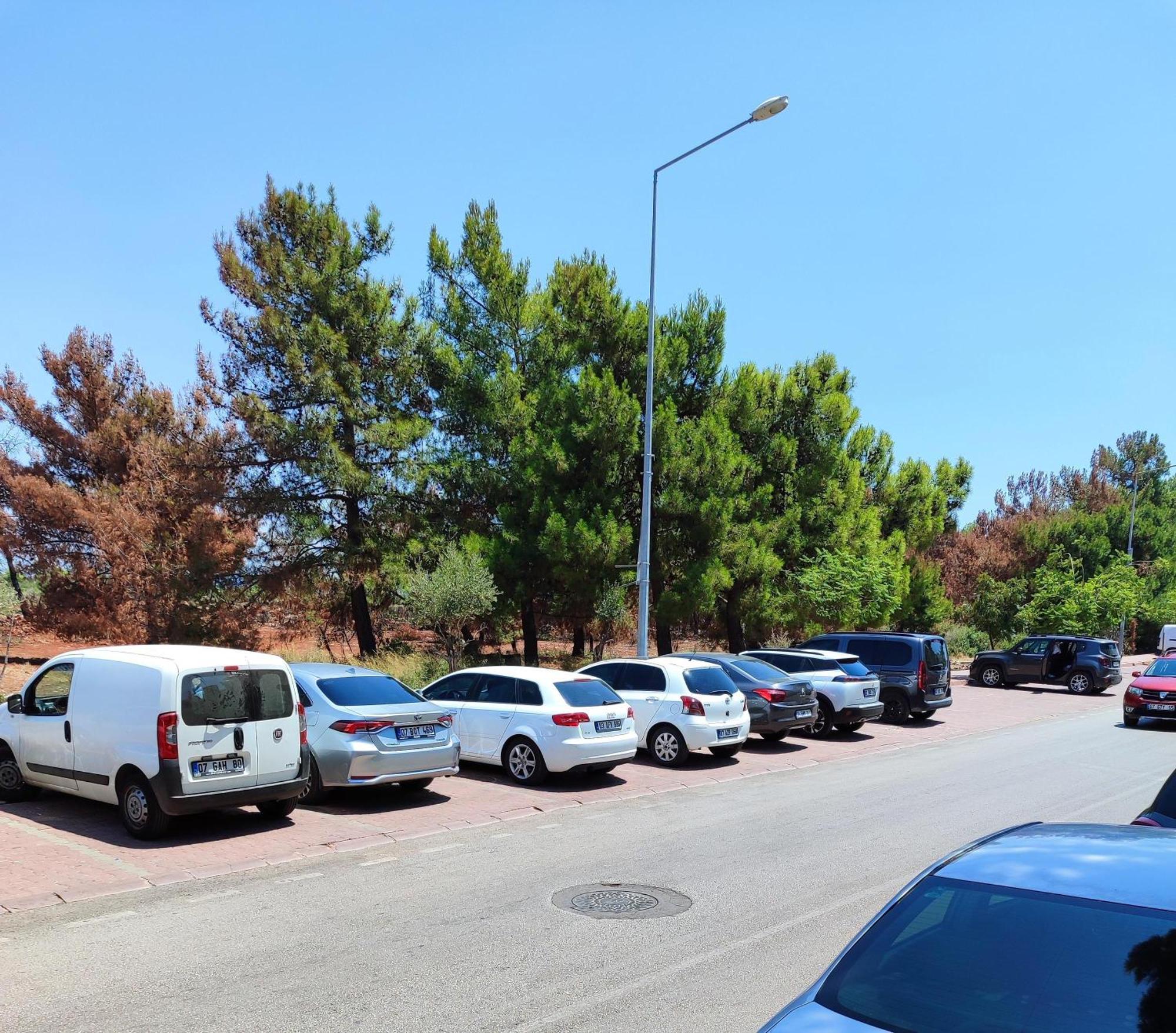 Rega Otel Αττάλεια Εξωτερικό φωτογραφία